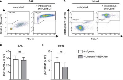 Differential in vivo labeling with barcoded antibodies allows for simultaneous transcriptomic profiling of airway, lung tissue and intravascular immune cells